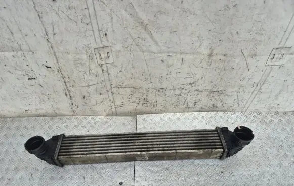 Mercedes-Benz A W169 Intercooler radiator A1695000900