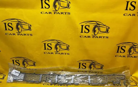BMW X5 E53 Front bumper lower grill 51117123956 7123956