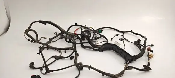 Volkswagen ID.3 Engine installation wiring loom 1EA971354