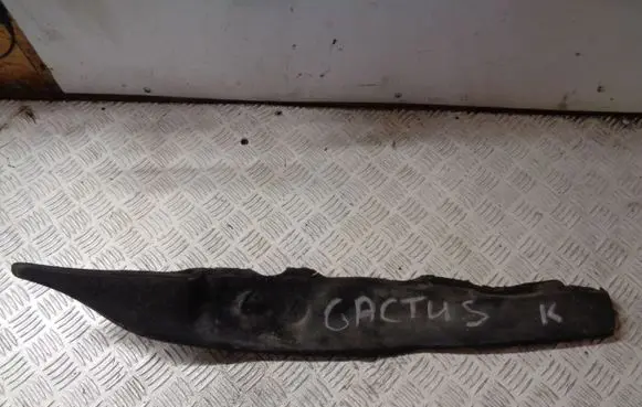 Citroen C4 Cactus Fender foam support/seal 