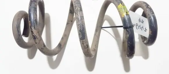 Nissan X-Trail T31 Rear coil spring
