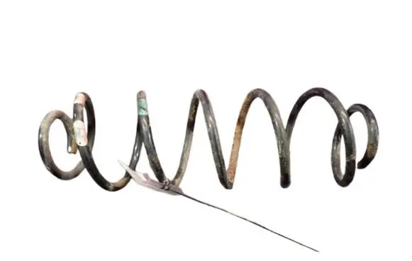 Rear coil spring