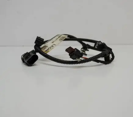 Other wiring loom