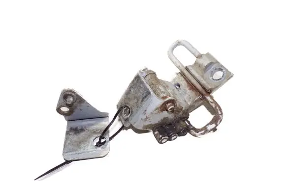 Front door lower hinge