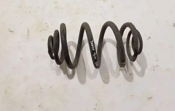 Renault Trafic III (X82) Rear coil spring 550202870R