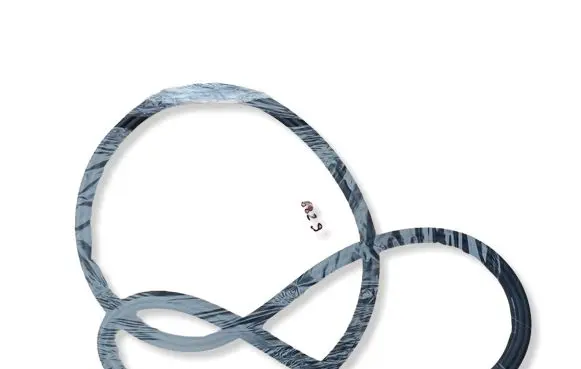 Volkswagen ID.4 Trunk rubber seal (body) 11A827705C