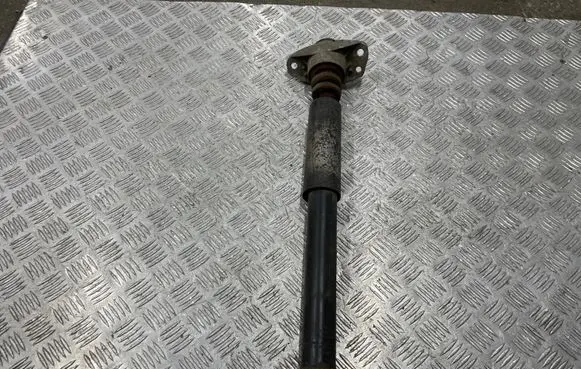 Skoda Superb B6 (3T) Rear shock absorber/damper 1K0513029JE