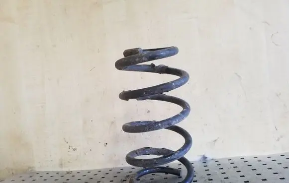 Hyundai Santa Fe Rear coil spring