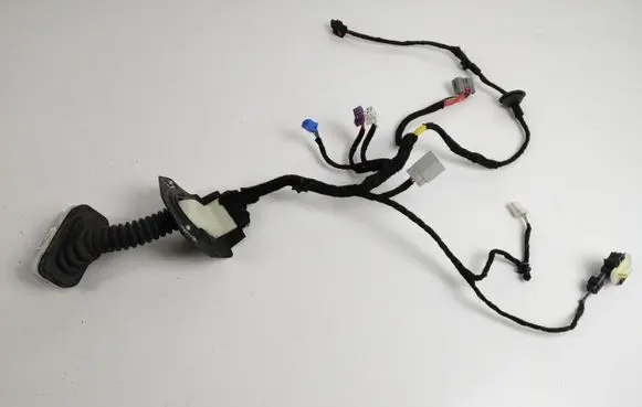 Front door wiring loom