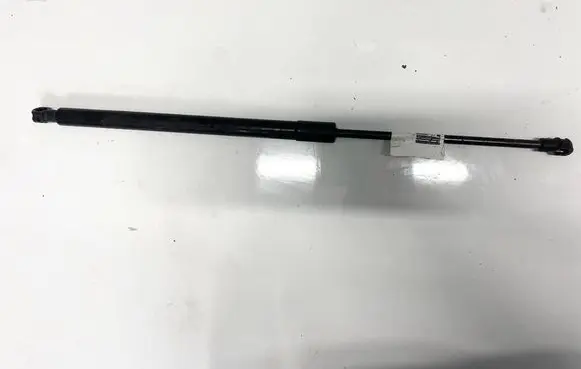 Chevrolet Captiva Tailgate/trunk strut/damper 96830123 055-322-2081-3