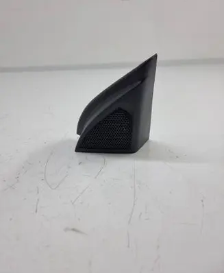 Front door speaker