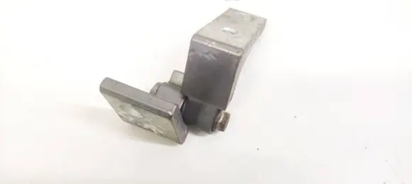 Rear door lower hinge