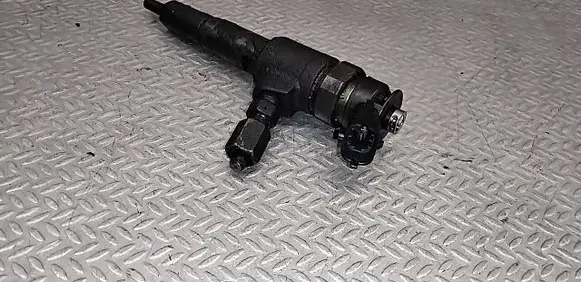 Peugeot 206 Fuel injector 9641496180 0445110075