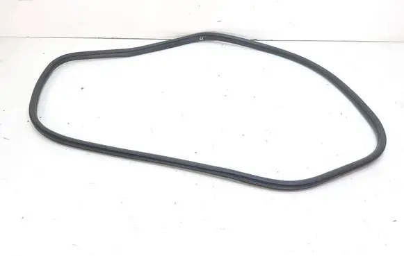 BMW X3 F25 Rear door rubber seal (on body) 7311267