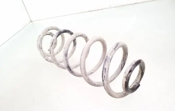Rear coil spring