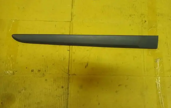 Renault Modus Rear door trim (molding) 8200213817