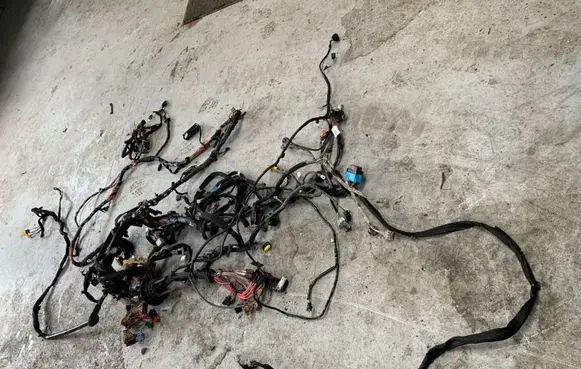 Renault Master III Wiring harness 240146025R