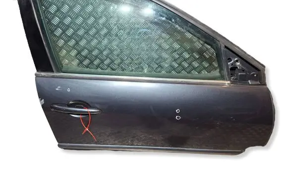 Renault Laguna III Front door S26301096