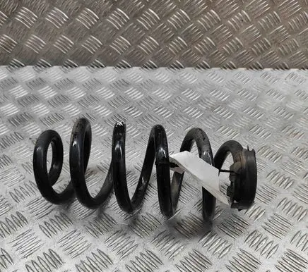 Audi Q4 Sportback e-tron Rear coil spring 1EA511103G