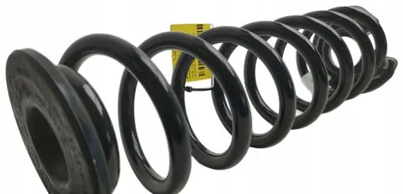 Rear coil spring