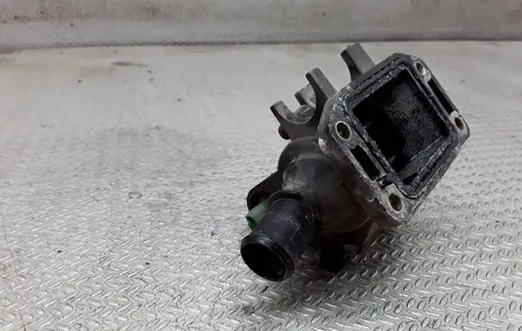 Thermostat/thermostat housing