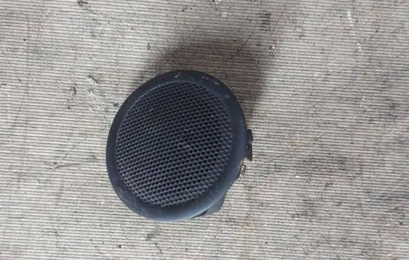 Panel speaker