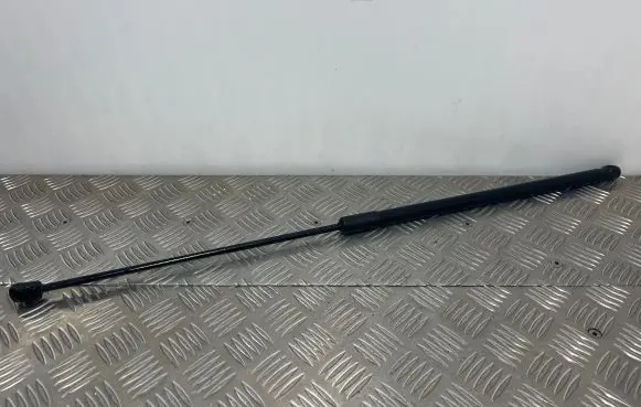 Audi A6 S6 C8 4K Front bonnet/hood damper/strut 4K0823359