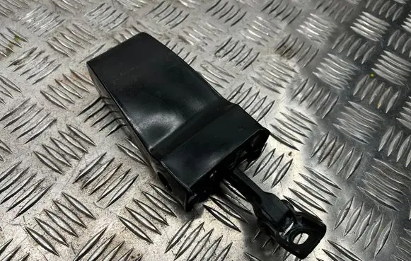 Skoda Superb B6 (3T) Rear door check strap stopper 3T0839249