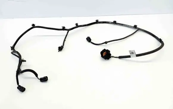 Other wiring loom