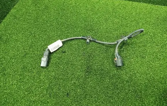 Other wiring loom