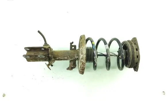 Renault Megane III Front shock absorber with coil spring 5403400002R