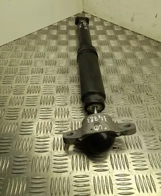 Ford Mustang Mach-E Rear shock absorber/damper LJ9C18080EAJ