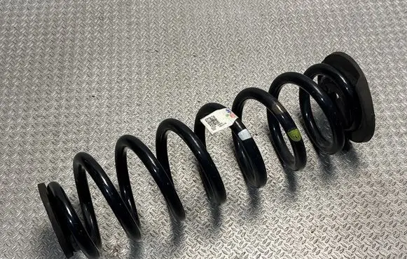 KIA Niro Rear coil spring 55330AO000 FWH24W