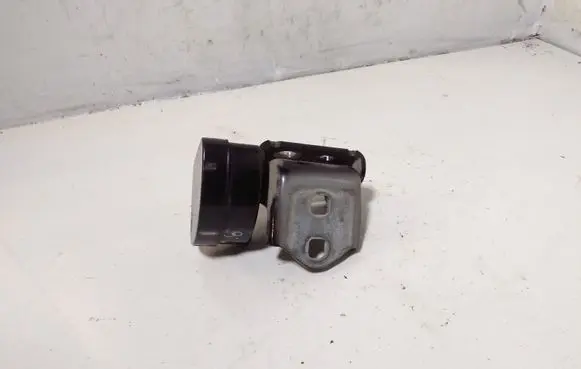 Renault Scenic II - Grand scenic II Rear door lower hinge 29205