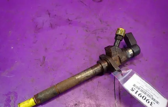 Peugeot 307 CC Fuel injector 
