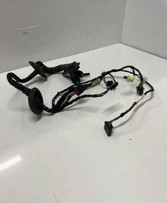 Front door wiring loom