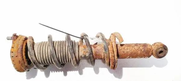 Rear shock absorber/damper