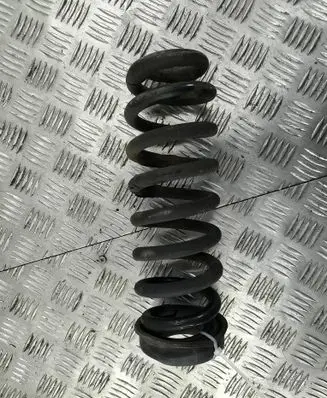 Rear coil spring