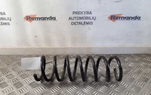 Rear coil spring