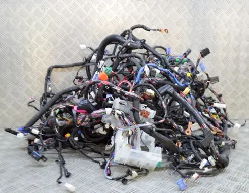Tesla Model X Other wiring loom 507243600B