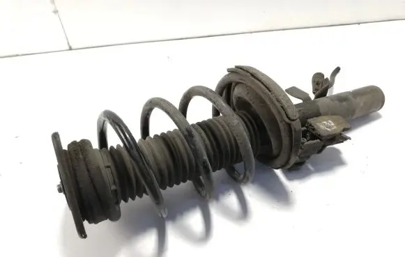 Ford C-MAX II Front shock absorber/damper 11013210843