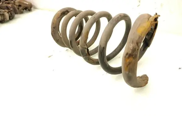 Rear coil spring