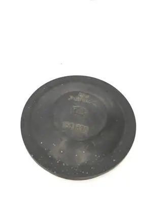 Volkswagen PASSAT B6 Headlight/headlamp dust cover 153873