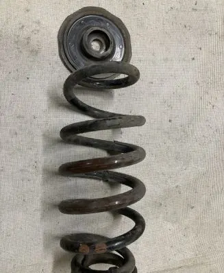 Rear coil spring