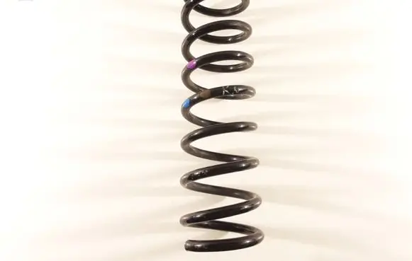 Ford Kuga II Rear coil spring