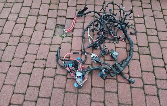 Renault Trafic III (X82) Positive cable (battery) 240803583R