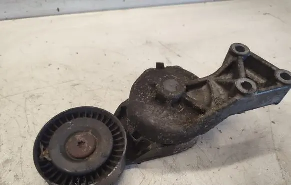 Volkswagen Golf IV Alternator belt tensioner 950372