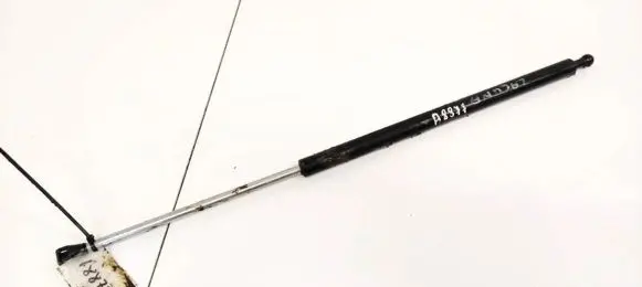 Tailgate/trunk strut/damper