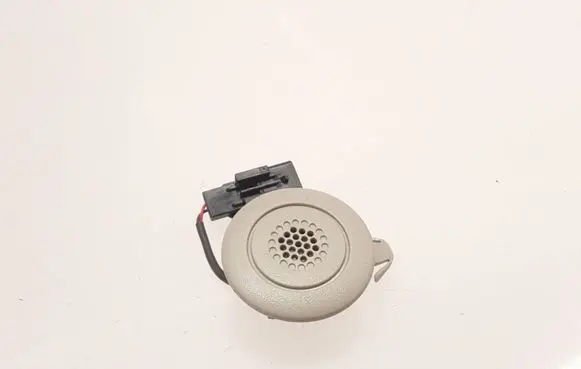Panel speaker