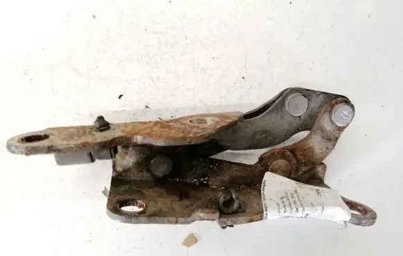 Tailgate/trunk/boot hinge